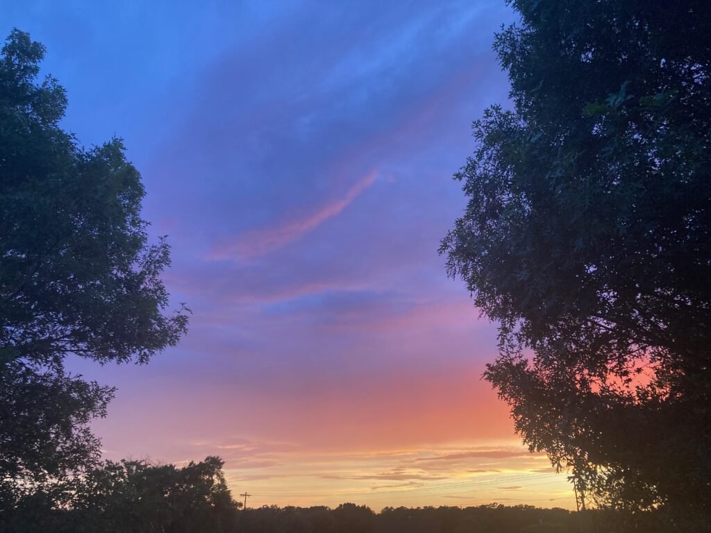 A beautiful, brilliant sunset flanked by the silhouettes of trees